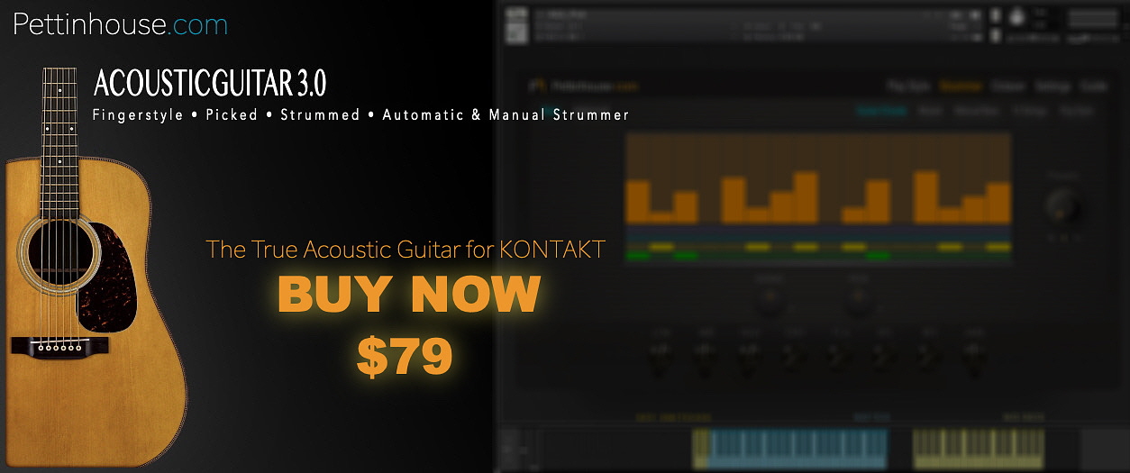 Pettinhouse-Acoustic-Guitar-Native-Instruments-Kontakt-2